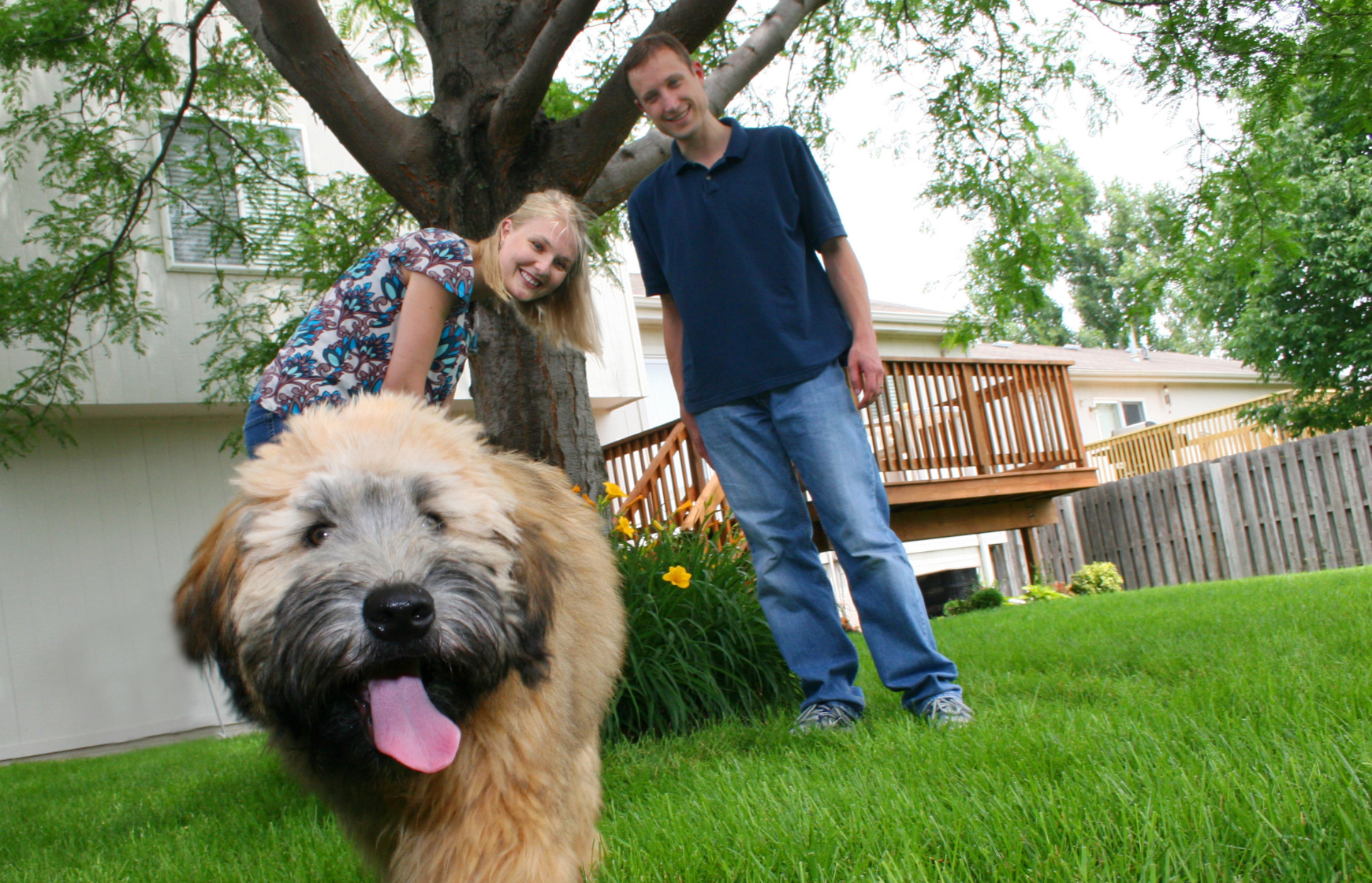 young couple in a backyard playing with a dog