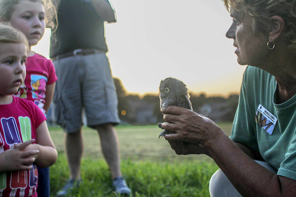 A Fontenelle Forest raptor recovery expert holds a screech owl for two small children to observe.