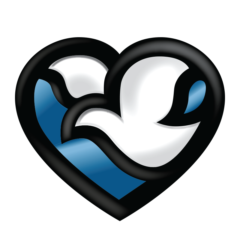 Methodist Health Systems